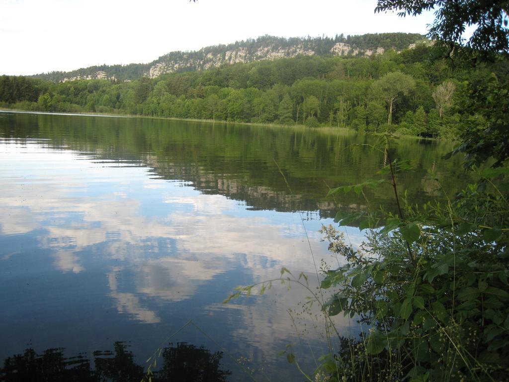 Auberge Du Herisson La Chaux-du-Dombief Bagian luar foto
